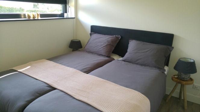 Sleep at Hamtingh´s room 3